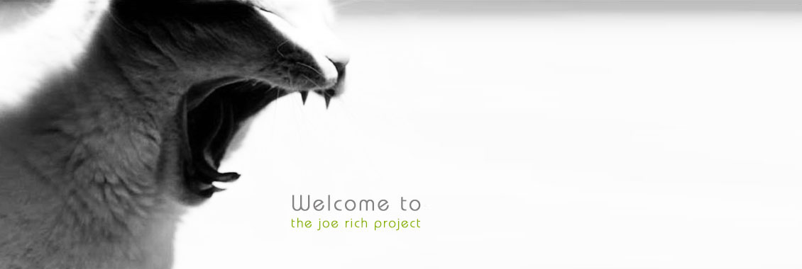 Zorak the Great - Our Former Emperor - May he Rest in Peace Zorak-Kelowna-web-design